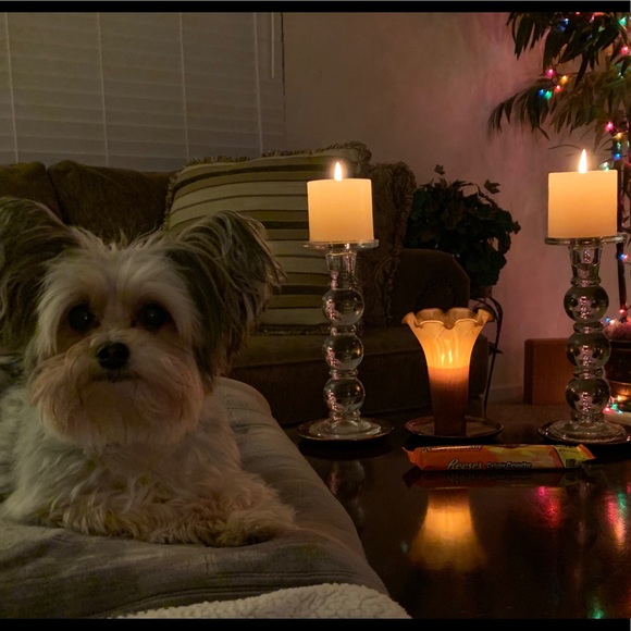 🌺Meet your Posher Team, Susan and Miss Sophie!🌺 - Picture 5 of 5